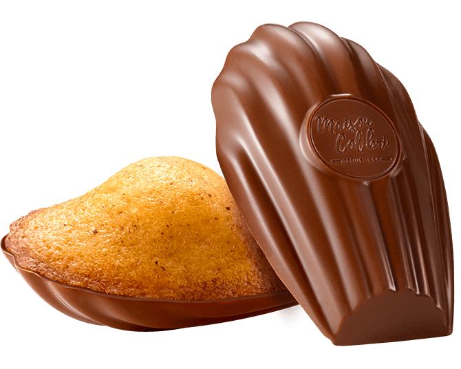 Madeleine hazelnut milk chocolate shell